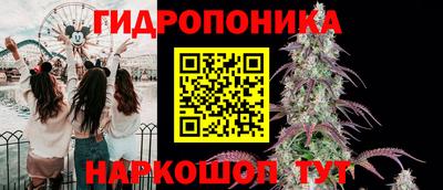 скорость Берёзовский