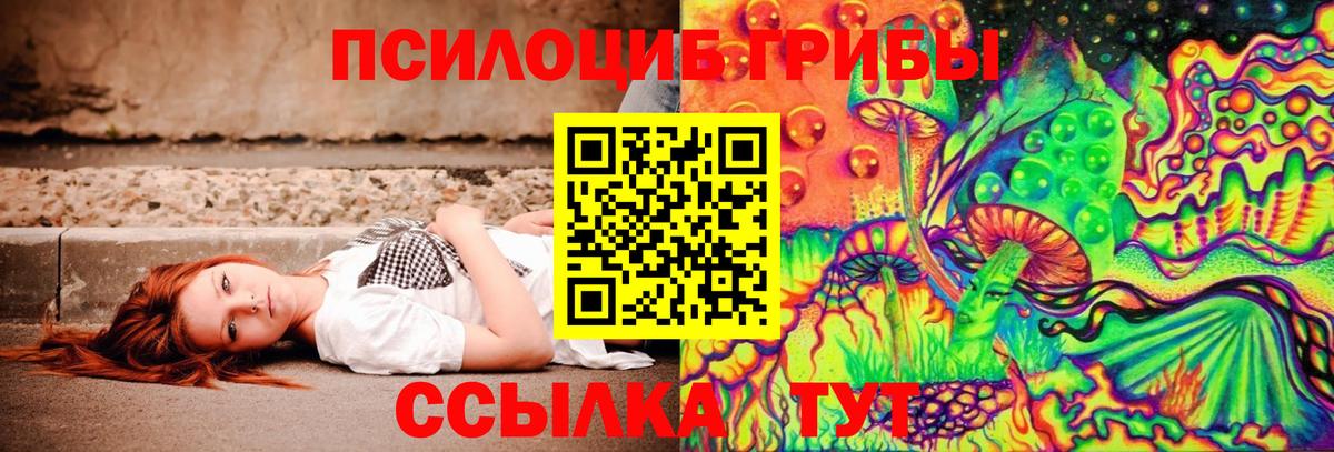 Галлюциногенные грибы Psilocybe Зима