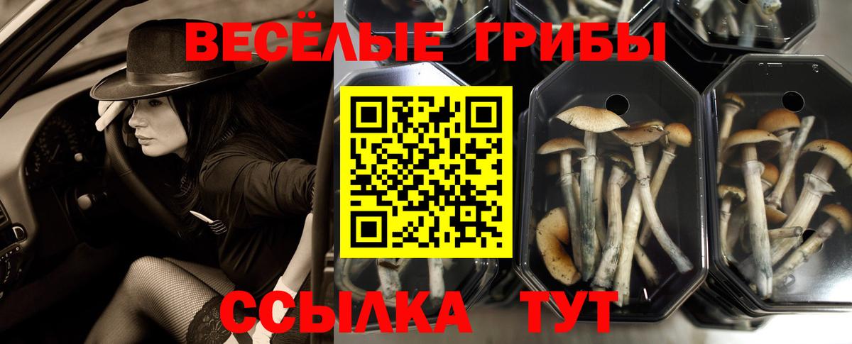 Зима  Галлюциногенные грибы Magic Shrooms  Вход с VPN 